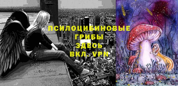 круглые Алексеевка