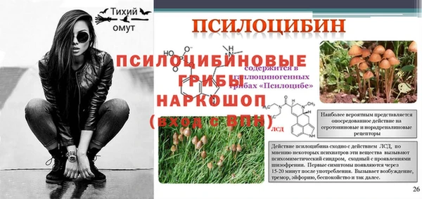круглые Алексеевка
